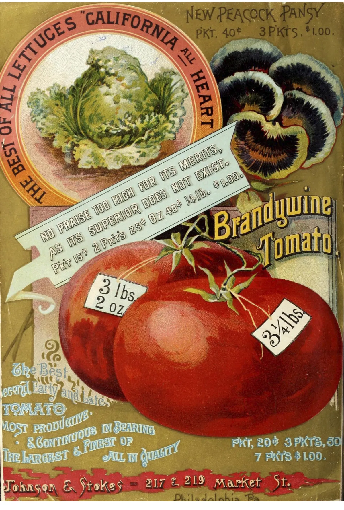 Brandywine tomato from an 1890 garden and farm manual botanical illustration