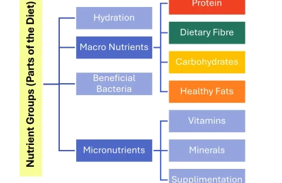 Is Catsup Low FODMAP? What IBS Sufferers Need to Know