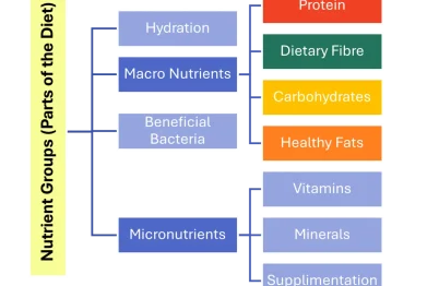 Is Catsup Low FODMAP? What IBS Sufferers Need to Know