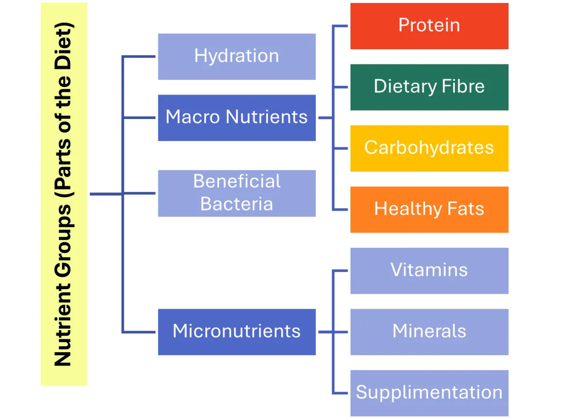 Is Catsup Low FODMAP? What IBS Sufferers Need to Know