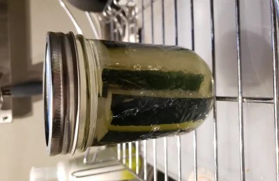 Fermented Catsup Recipe: Probiotic-Rich Homemade Catsup