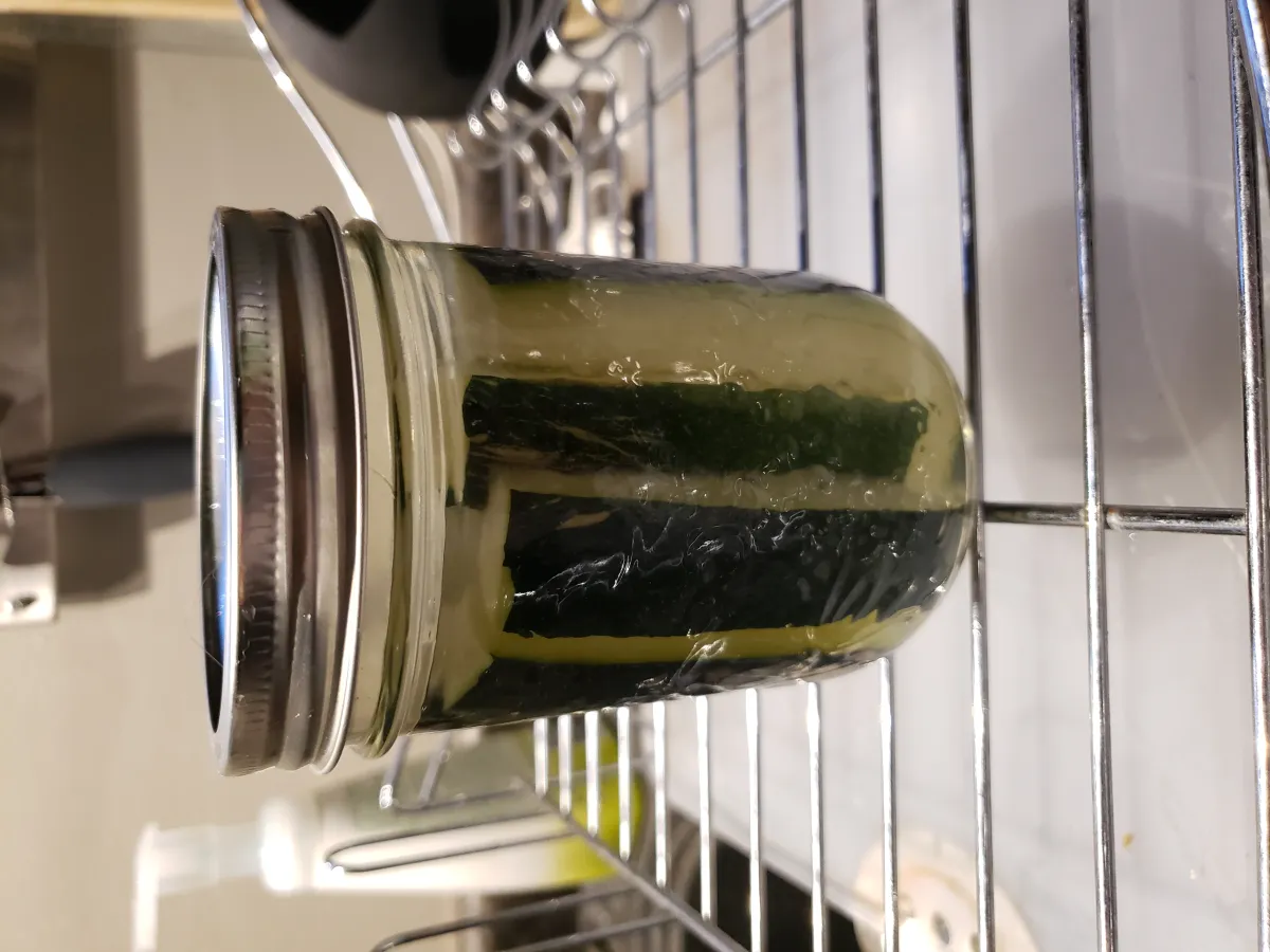 Fermented Catsup Recipe: Probiotic-Rich Homemade Catsup