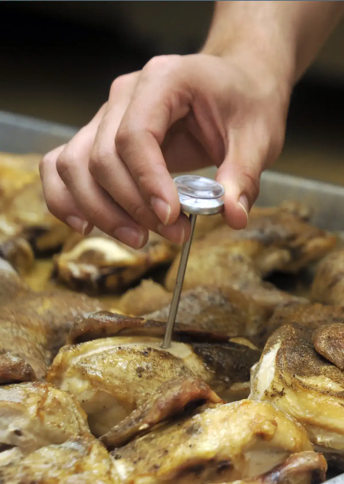 A food thermometer checking safe storage temperature