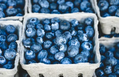 Blueberry Catsup Recipe