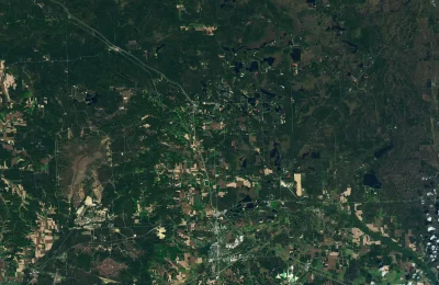 Cranberry Catsup Recipe