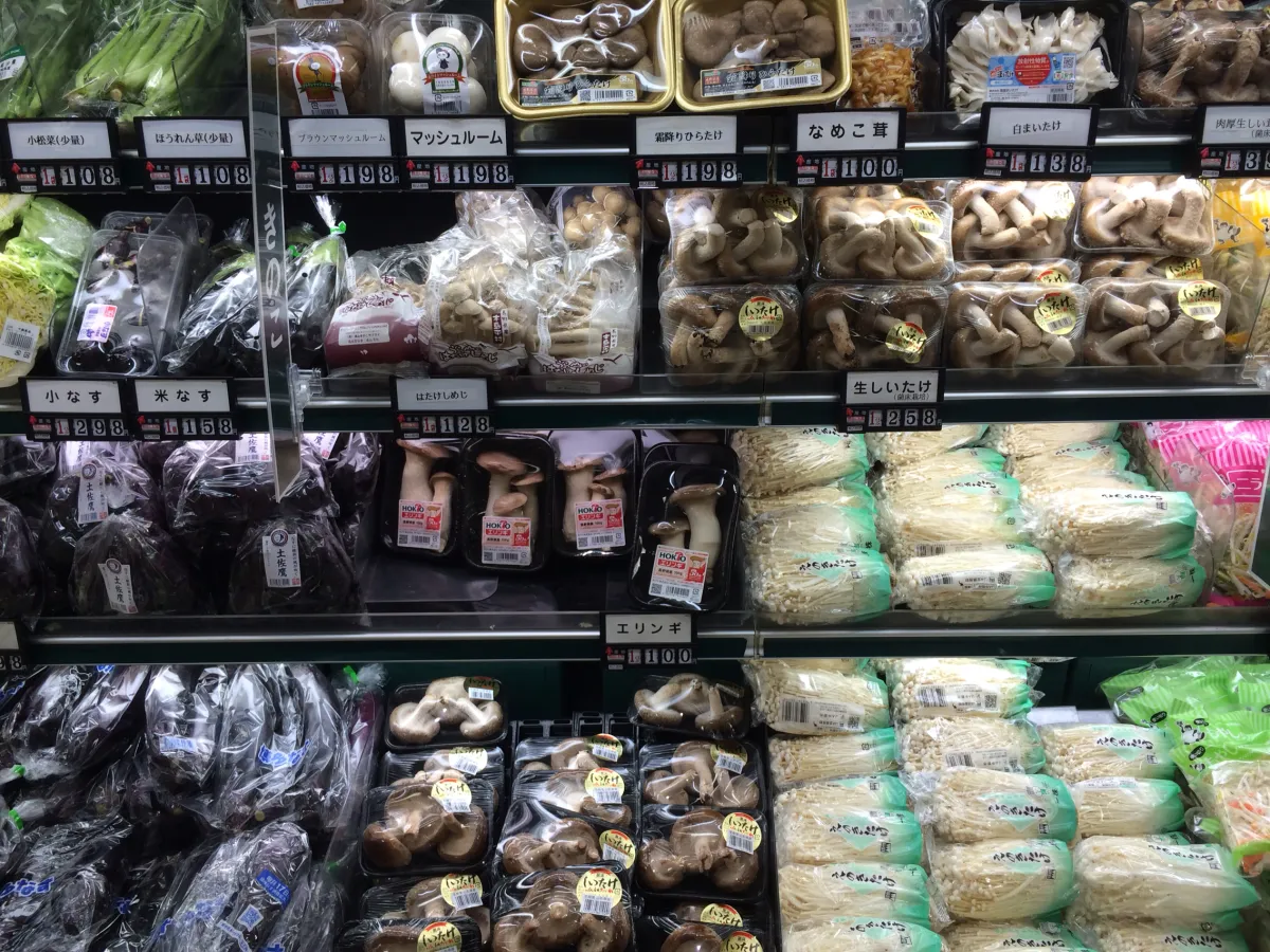 An Array of Fresh Mushrooms at the Market