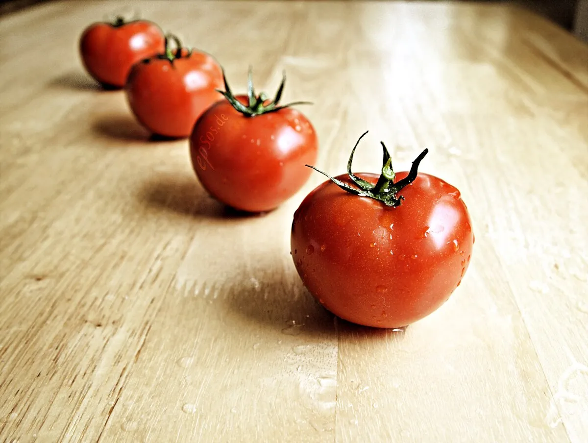 Glistening organic tomatoes, the heart and soul of every good catsup