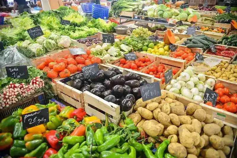 An assortment of fresh vegetables and wholesome ingredients