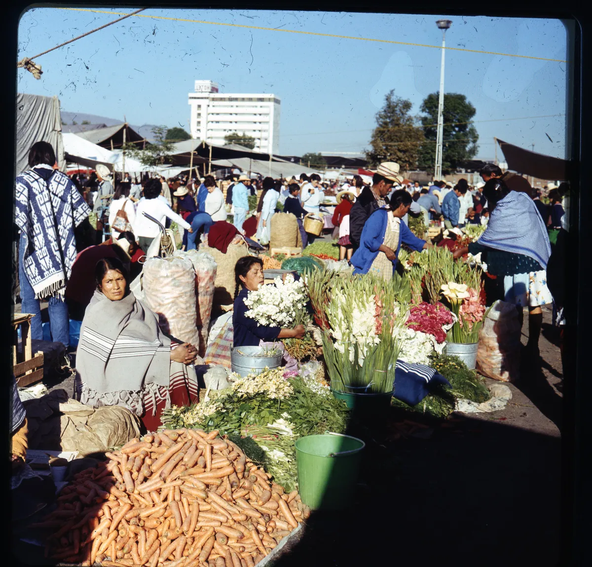 A bustling Mexican food market filled with fresh local products and ingredients