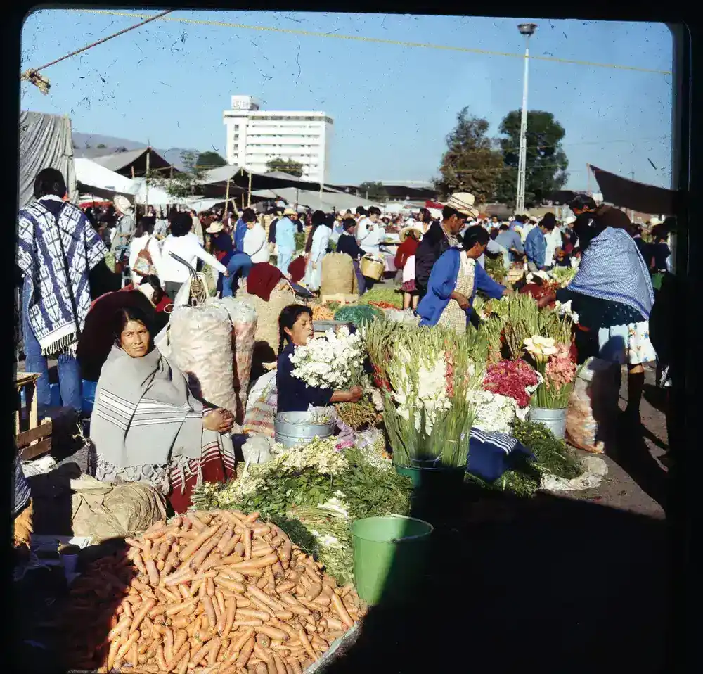 A bustling Mexican food market filled with fresh local products and ingredients