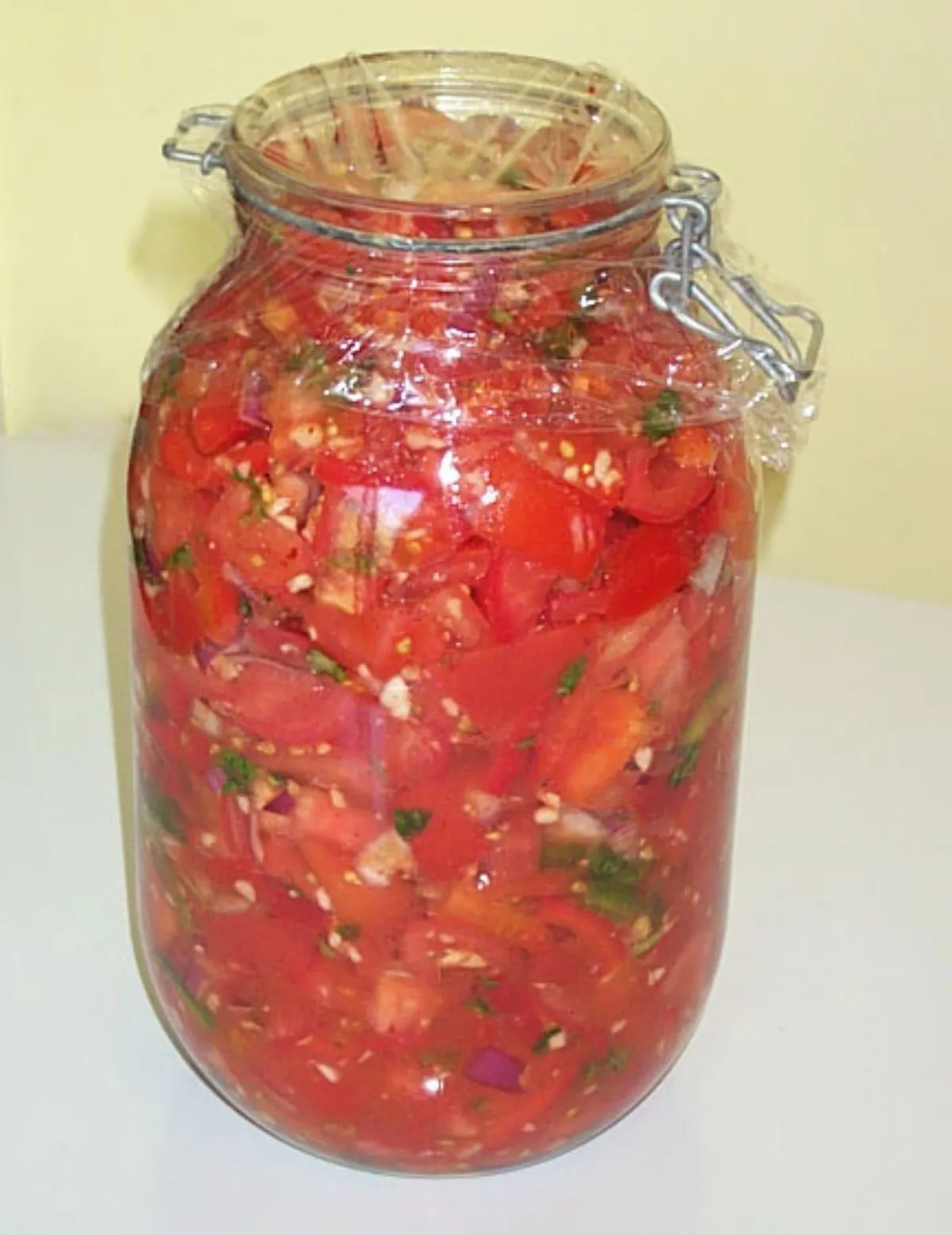 Homemade Probiotic Fermented Salsa Rich in Beneficial Bacteria