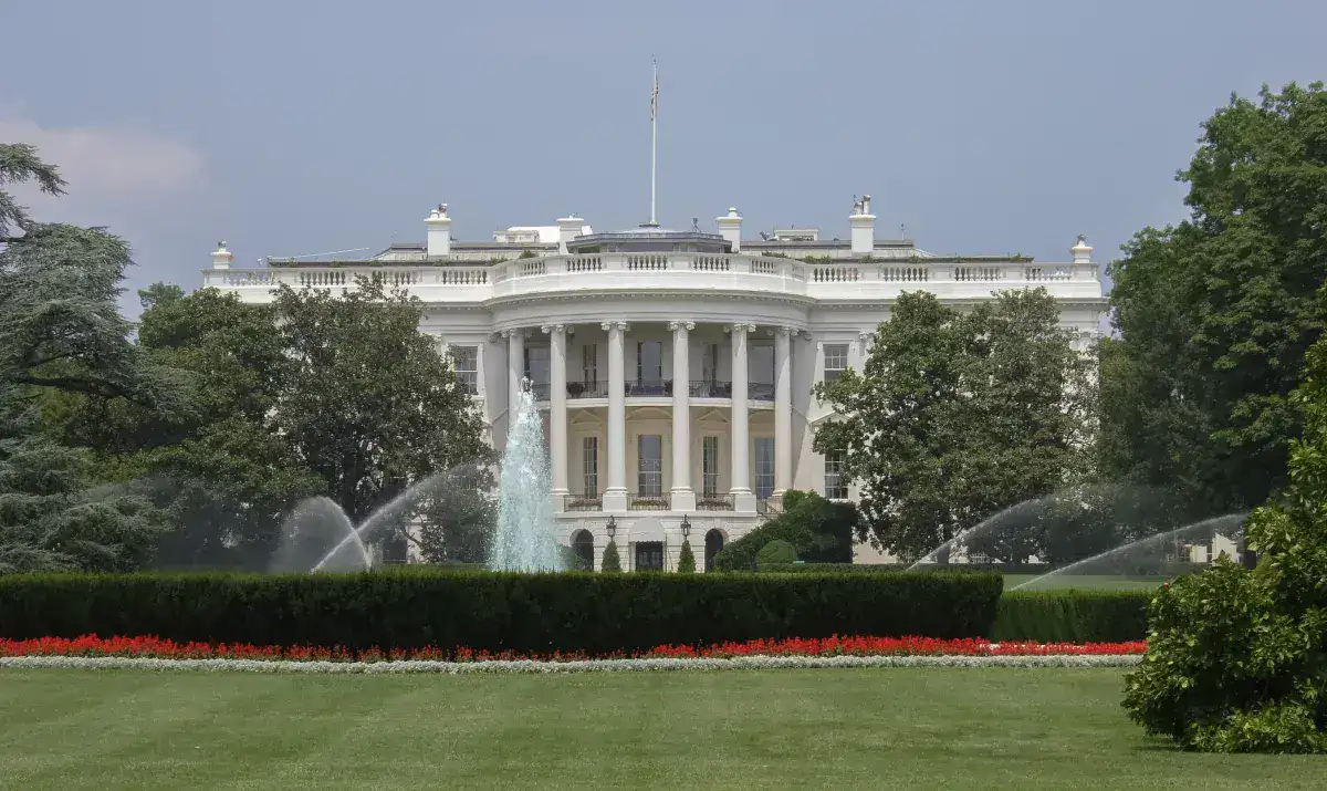 Trump Ketchup: The White House Wall Incident Explained